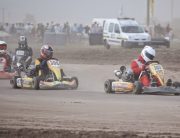 Kart Sur 2014 8a Tosquita ed